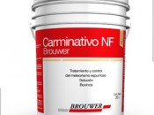 Carminativo NF